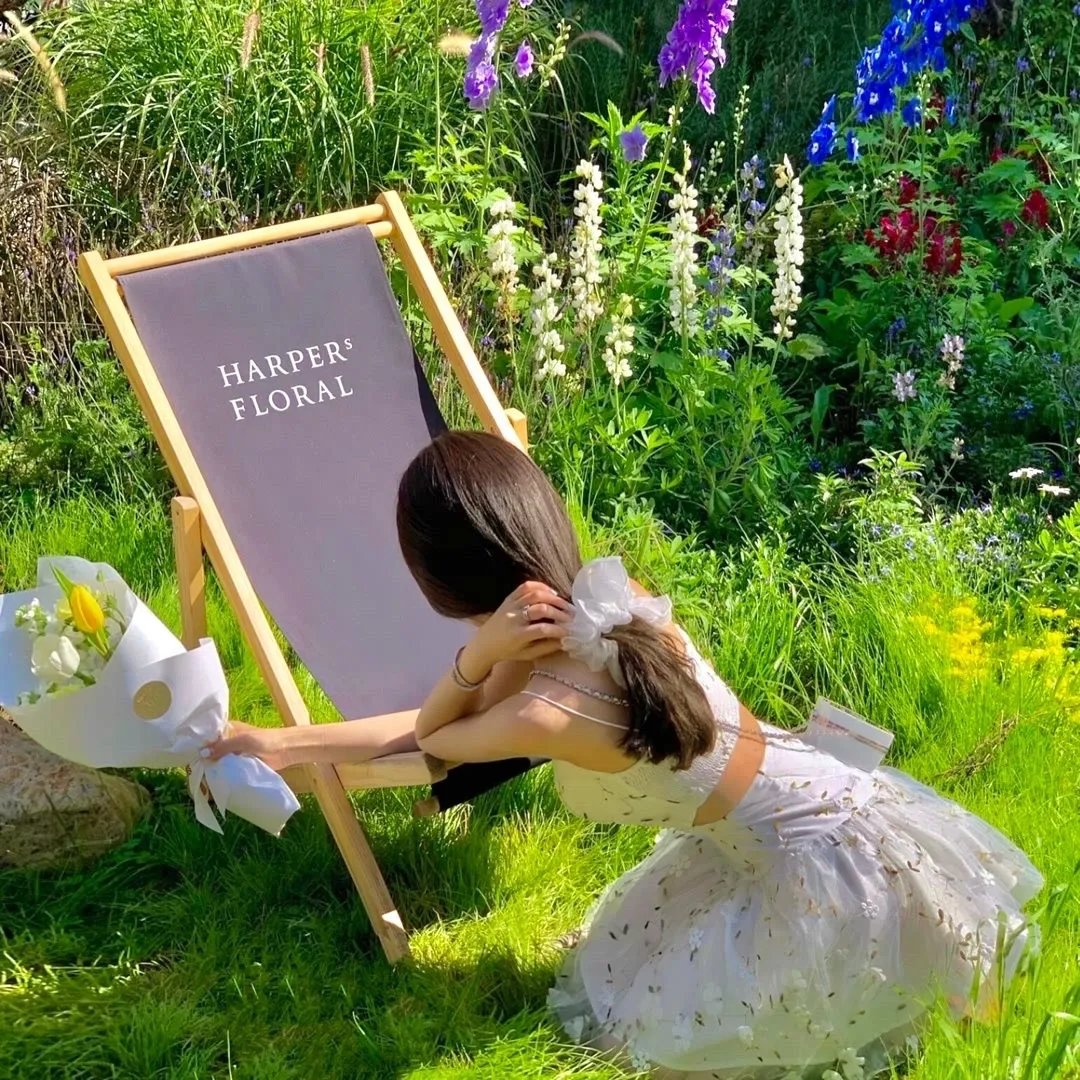 马栏山芒果节·毕业晚会